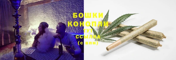 ECSTASY Новозыбков