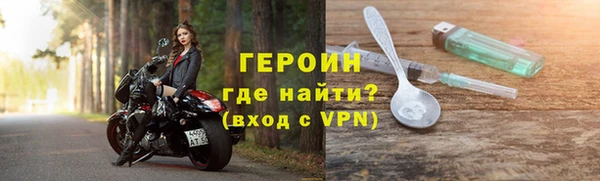 индика Новодвинск