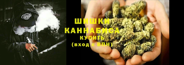 ECSTASY Новозыбков