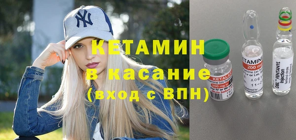 индика Новодвинск