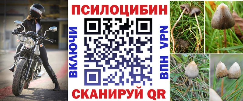 Псилоцибиновые грибы мицелий  где купить   Калязин 